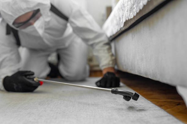 Professional Bed Bug Control technician working in Walkersville, MD